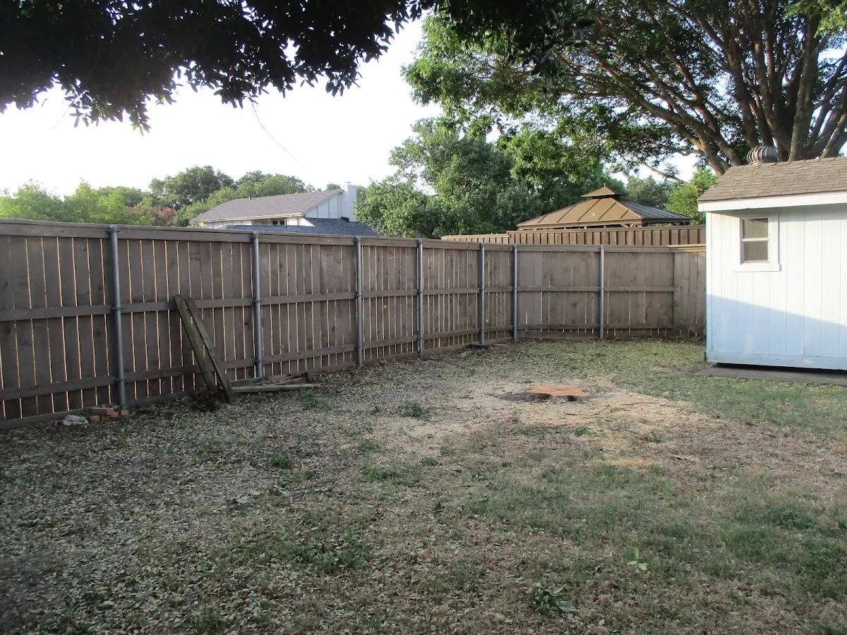 Cleared yard after professional tree removal in Pocahontas